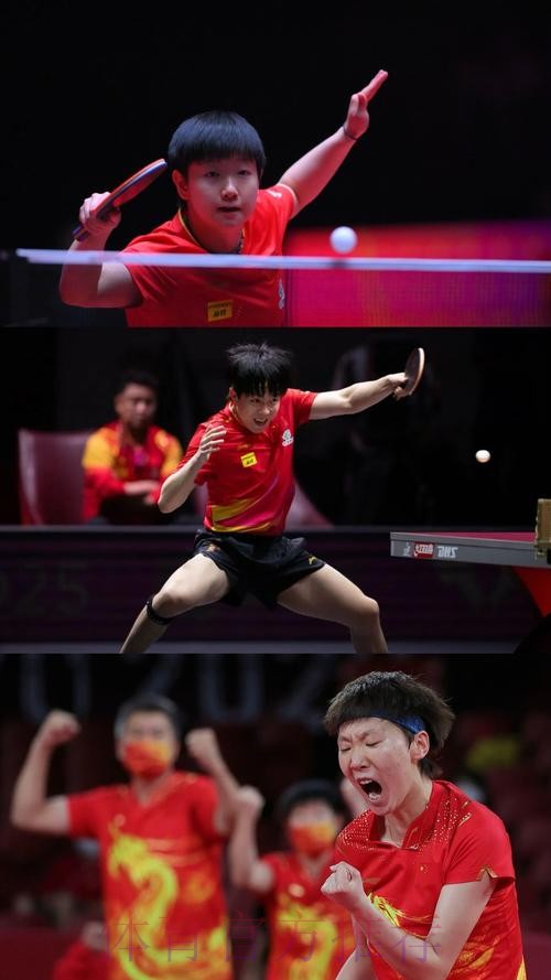 高清直播：世界杯乒乓球决赛全程回放